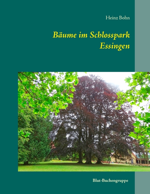 Bäume im Schlosspark Essingen - Heinz Bohn