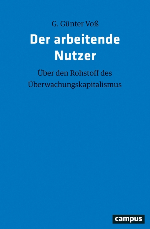 Der arbeitende Nutzer - G. Günter Voß