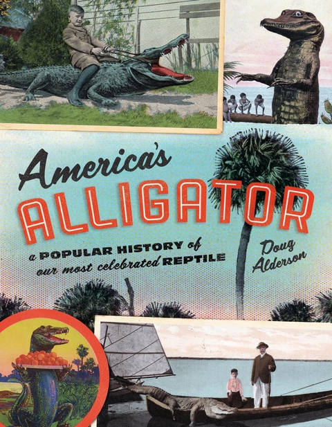 America's Alligator -  Doug Alderson