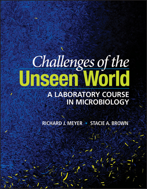 Challenges of the Unseen World -  Stacie A. Brown,  Richard J. Meyer