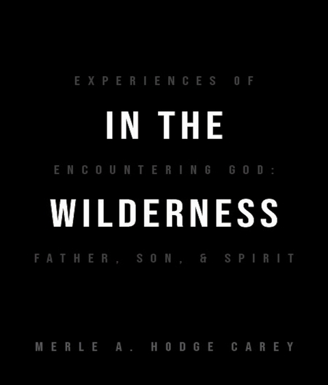 In the Wilderness: Experiences of Encountering God -  Merle A. Hodge-Carey