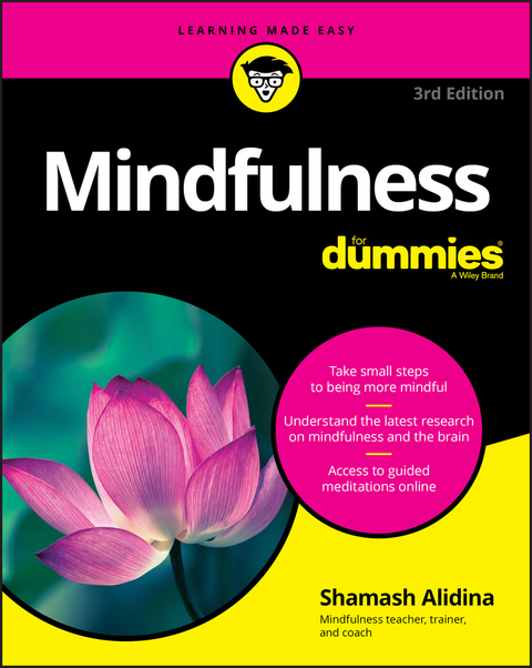 Mindfulness For Dummies -  Shamash Alidina