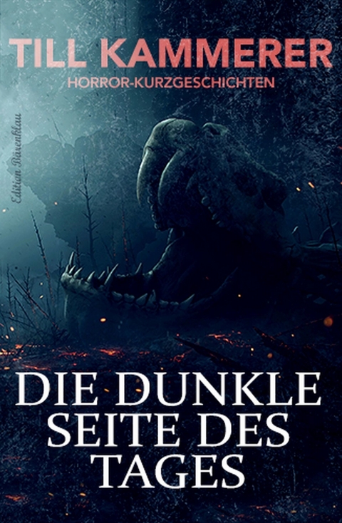 Die dunkle Seite des Tages -  Till Kammerer