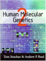 Human Molecular Genetics - Strachan, Tom; Read, Andrew