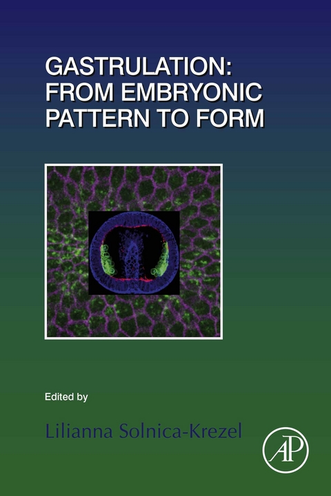 Gastrulation: From Embryonic Pattern to Form - 