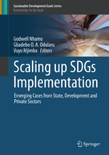 Scaling up SDGs Implementation - 