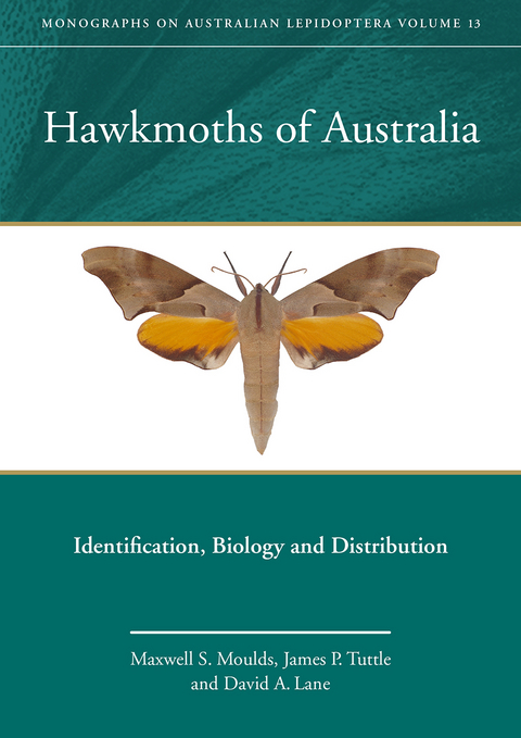 Hawkmoths of Australia -  David A. Lane,  Maxwell S. Moulds,  James P. Tuttle