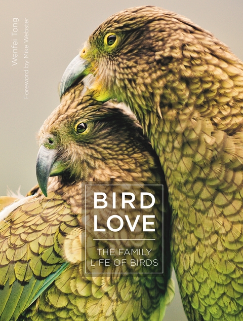 Bird Love - Wenfei Tong