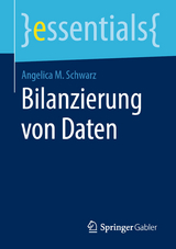 Bilanzierung von Daten - Angelica M. Schwarz