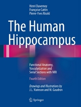 The Human Hippocampus -  Henri M. Duvernoy,  Francoise Cattin,  Pierre-Yves Risold