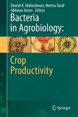 Bacteria in Agrobiology: Crop Productivity - 