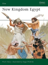 New Kingdom Egypt - Healy, Mark