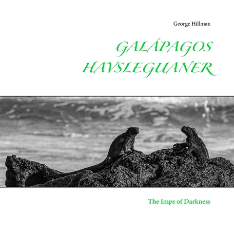 Galápagos havsleguaner -  George Hillman