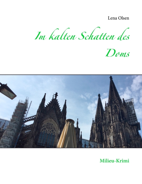 Im kalten Schatten des Doms - Lena Olsen