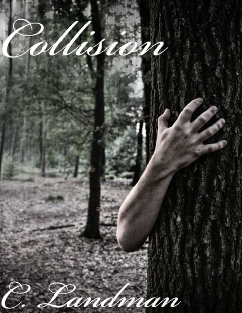 Collision -  Landman C. Landman