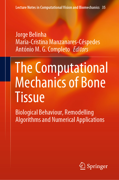 The Computational Mechanics of Bone Tissue - 