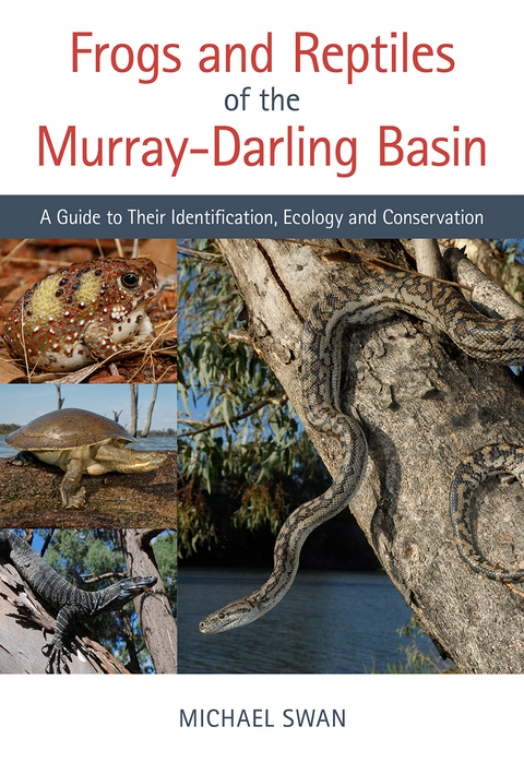 Frogs and Reptiles of the Murray–Darling Basin - Michael Swan