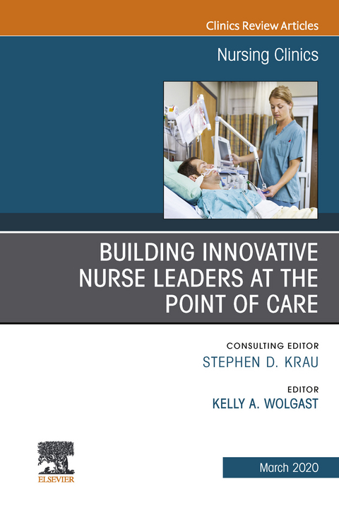 Building Innovative Nurse Leaders at the Point of Care,An Issue of Nursing Clinics - 