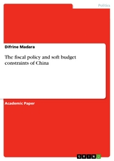 The fiscal policy and soft budget constraints of China - Difrine Madara