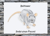 Balthasar findet einen Freund - Jasmin Wimmer