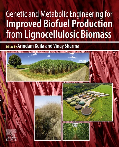 Genetic and Metabolic Engineering for Improved Biofuel Production from Lignocellulosic Biomass - 