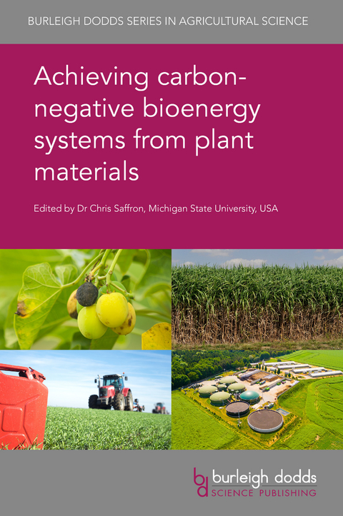 Achieving carbon-negative bioenergy systems from plant materials - 