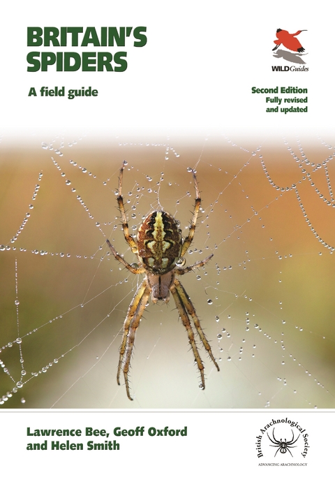 Britain's Spiders -  Lawrence Bee,  Geoff Oxford,  Helen Smith