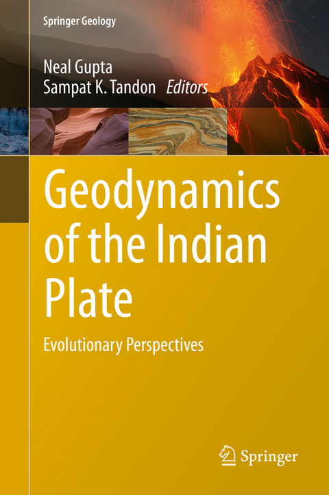 Geodynamics of the Indian Plate - 