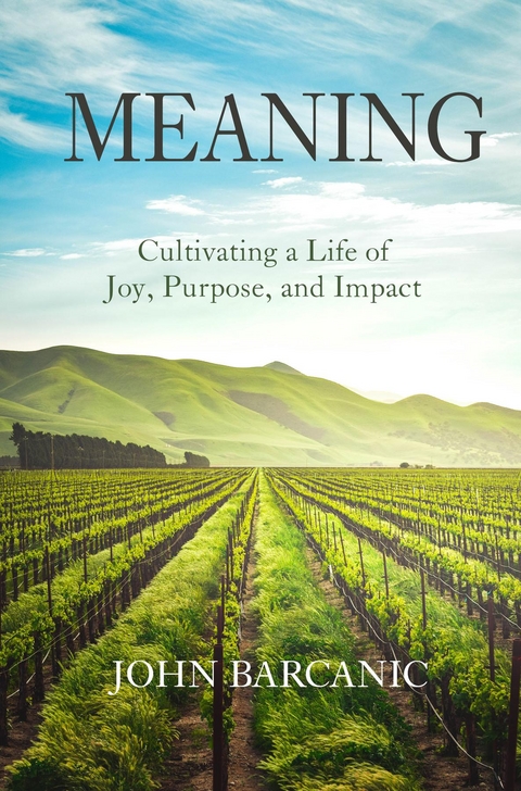 Meaning - John Barcanic