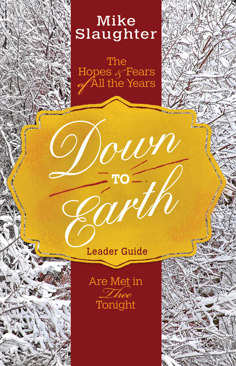 Down to Earth Leader Guide -  Rachel Billups,  Mike Slaughter