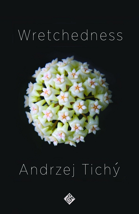Wretchedness - Andrzej Tichý