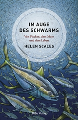 Im Auge des Schwarms - Helen Scales