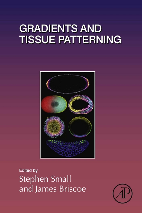 Gradients and Tissue Patterning - 