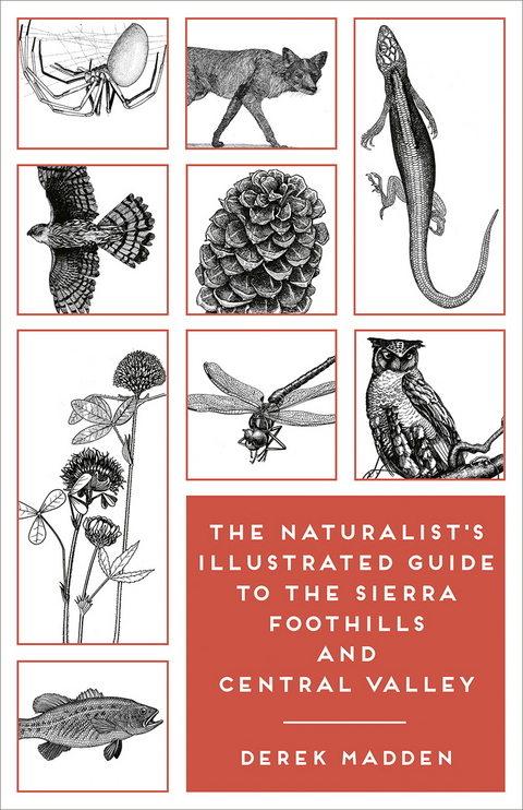 Naturalist's Illustrated Guide to the Sierra Foothills and Central Valley -  Derek Madden