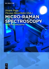 Micro-Raman Spectroscopy - 