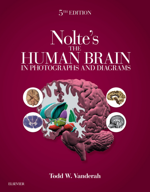 Nolte's The Human Brain in Photographs and Diagrams -  Todd W. Vanderah