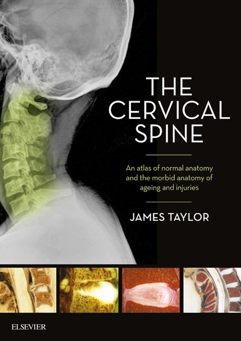 Cervical Spine -  James Taylor