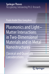 Plasmonics and Light–Matter Interactions in Two-Dimensional Materials and in Metal Nanostructures - Paulo André Dias Gonçalves