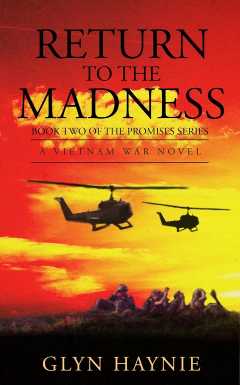 Return To The Madness - Glyn Edwin Haynie