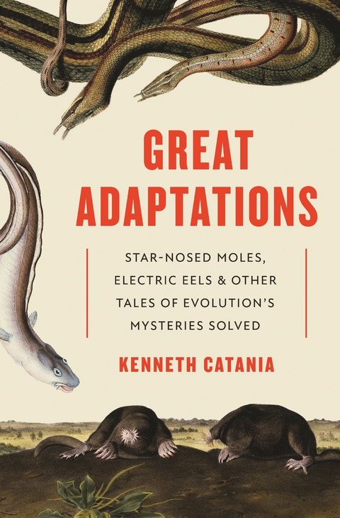 Great Adaptations -  Kenneth Catania