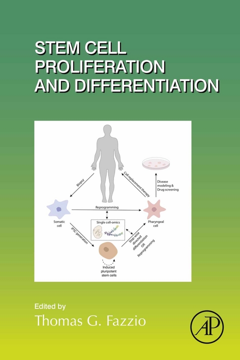 Stem Cell Proliferation and Differentiation - 