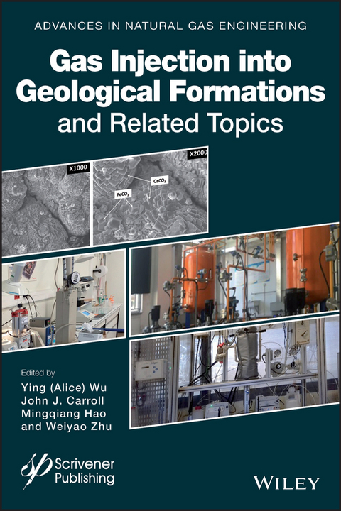 Gas Injection into Geological Formations and Related Topics - 