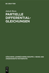 Partielle Differentialgleichungen - Jakob Horn