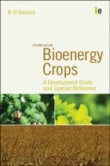 Bioenergy Crops - El Bassam, N.