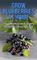 Grow Blueberries at Home -  Steve Ryan