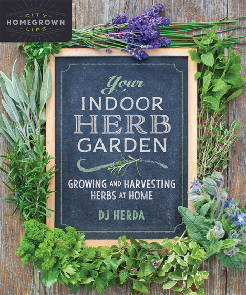 Your Indoor Herb Garden -  DJ Herda