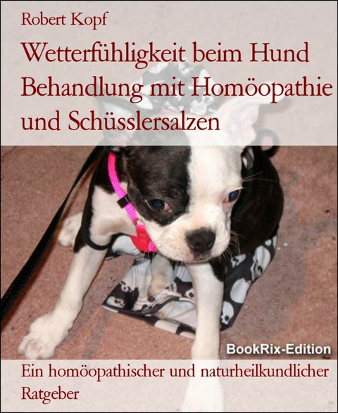 Wetterfühligkeit beim Hund Behandlung mit Homöopathie und Schüsslersalzen - Robert Kopf