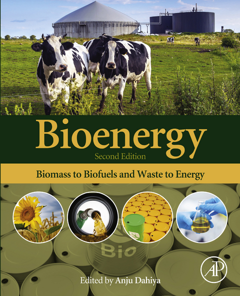 Bioenergy - 