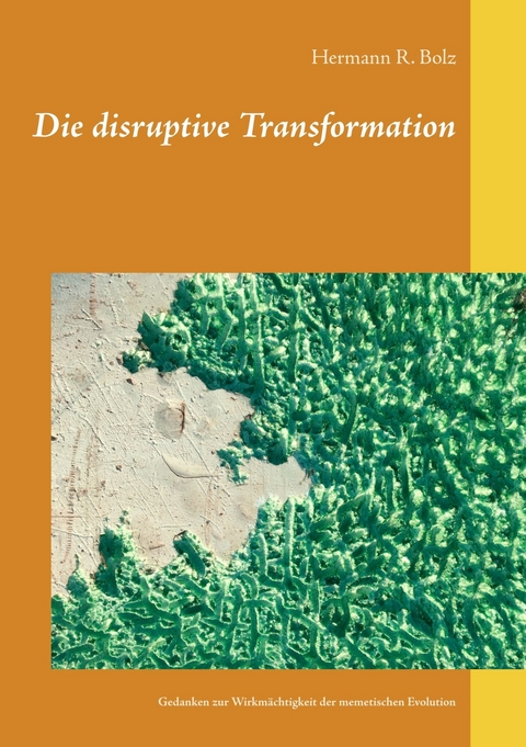 Die disruptive Transformation - Hermann R. Bolz