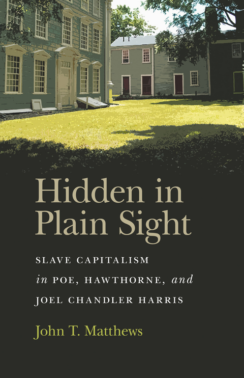 Hidden in Plain Sight - John T. Matthews